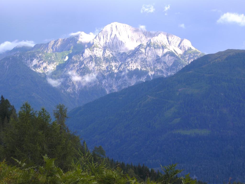 Gasthof Zum Loewen Sankt Jakob im Lesachtal Extérieur photo