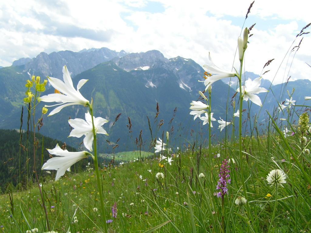 Gasthof Zum Loewen Sankt Jakob im Lesachtal Extérieur photo