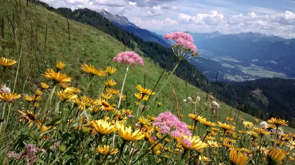 Gasthof Zum Loewen Sankt Jakob im Lesachtal Extérieur photo