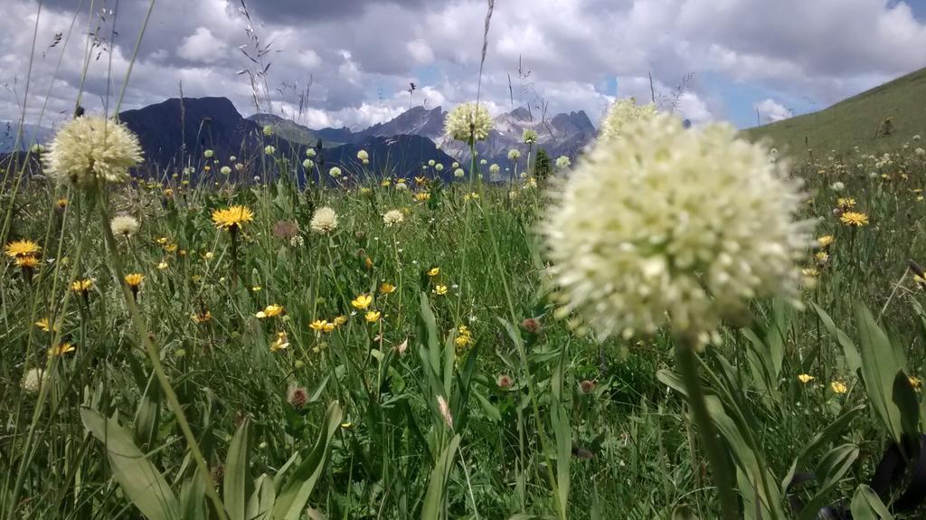 Gasthof Zum Loewen Sankt Jakob im Lesachtal Extérieur photo