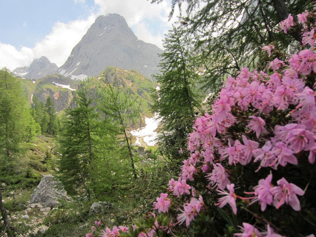 Gasthof Zum Loewen Sankt Jakob im Lesachtal Extérieur photo