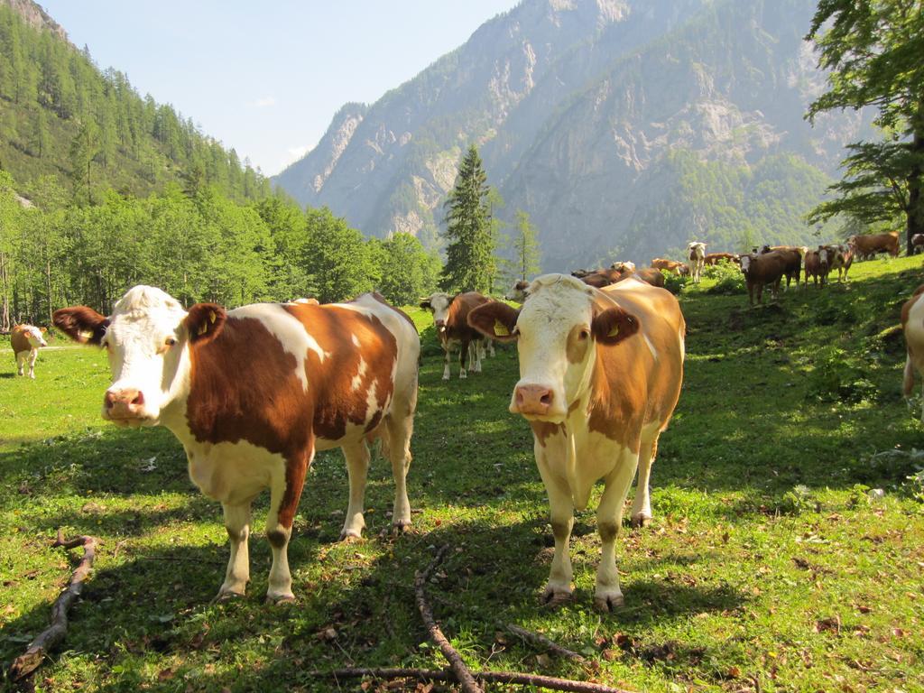 Gasthof Zum Loewen Sankt Jakob im Lesachtal Extérieur photo