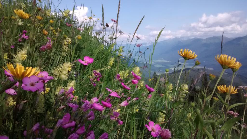 Gasthof Zum Loewen Sankt Jakob im Lesachtal Extérieur photo